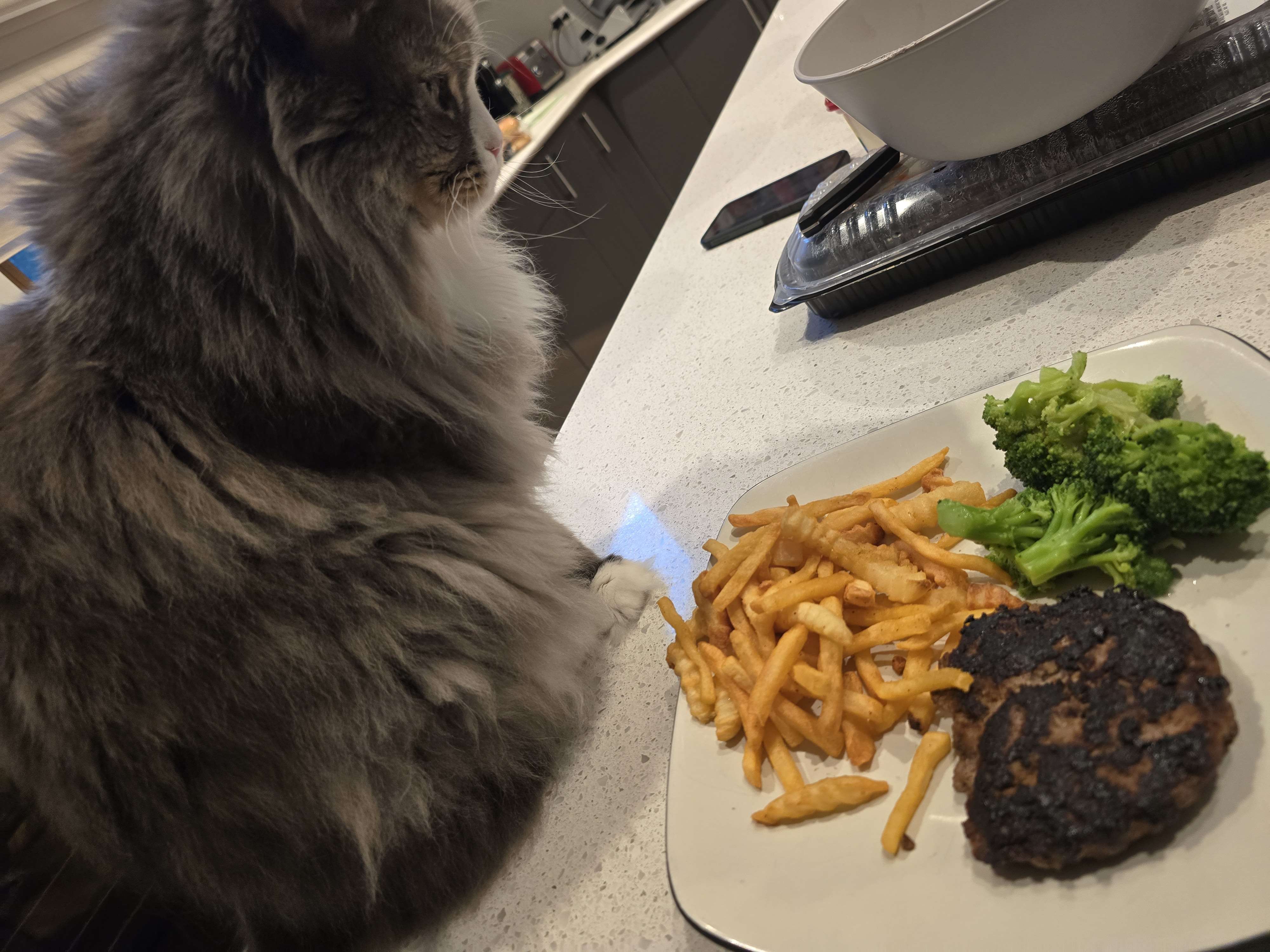 burger fries broccoli