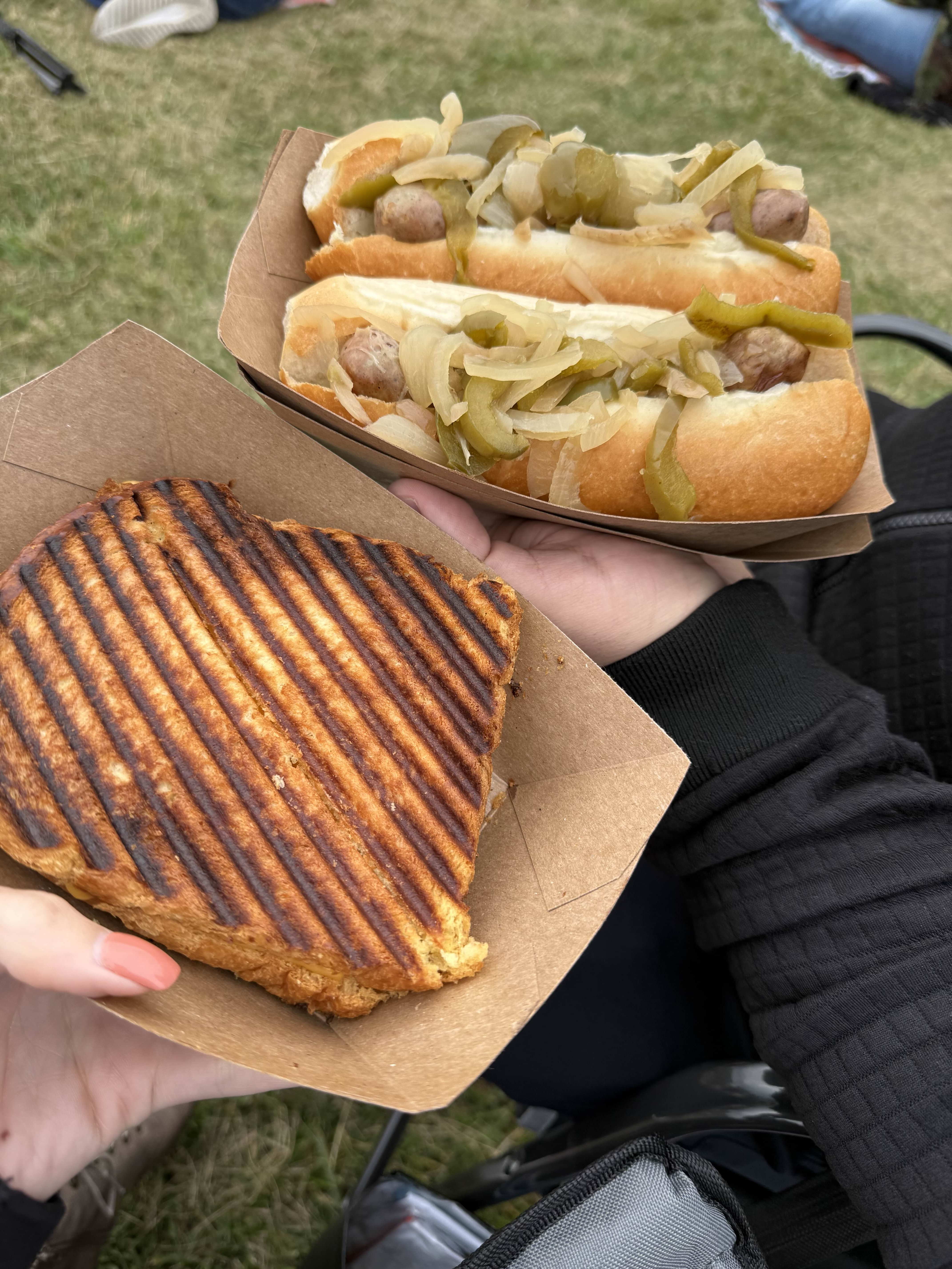Hot dogs and sandwich