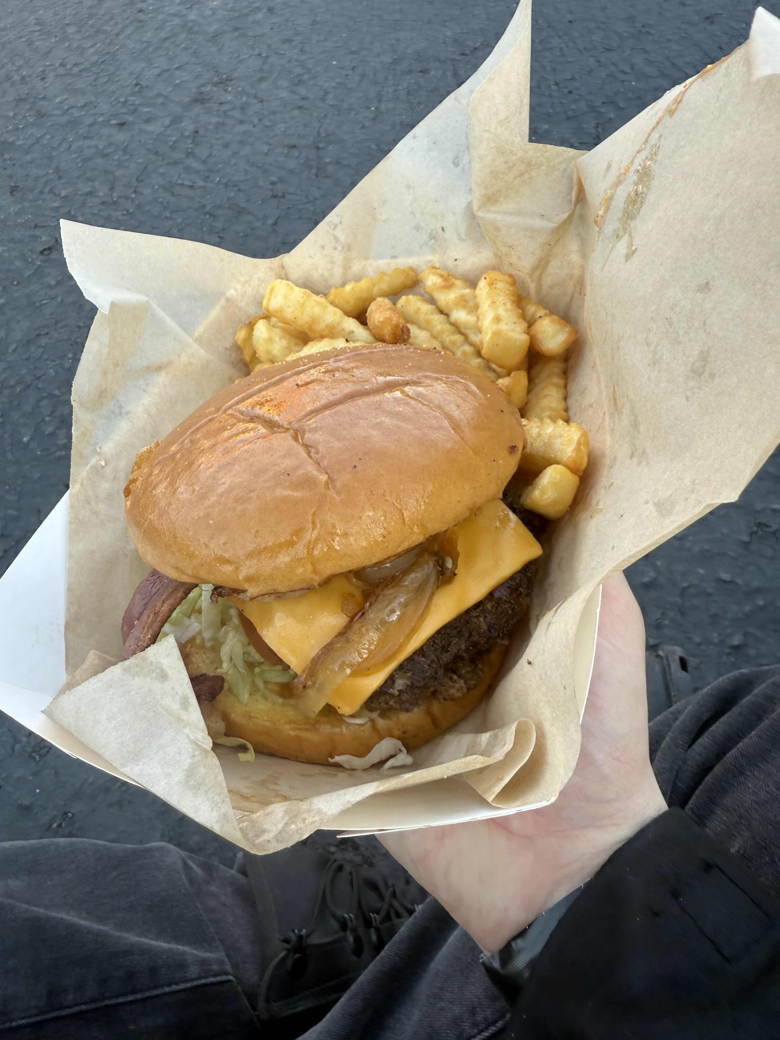 Cheeseburger and fries (1)