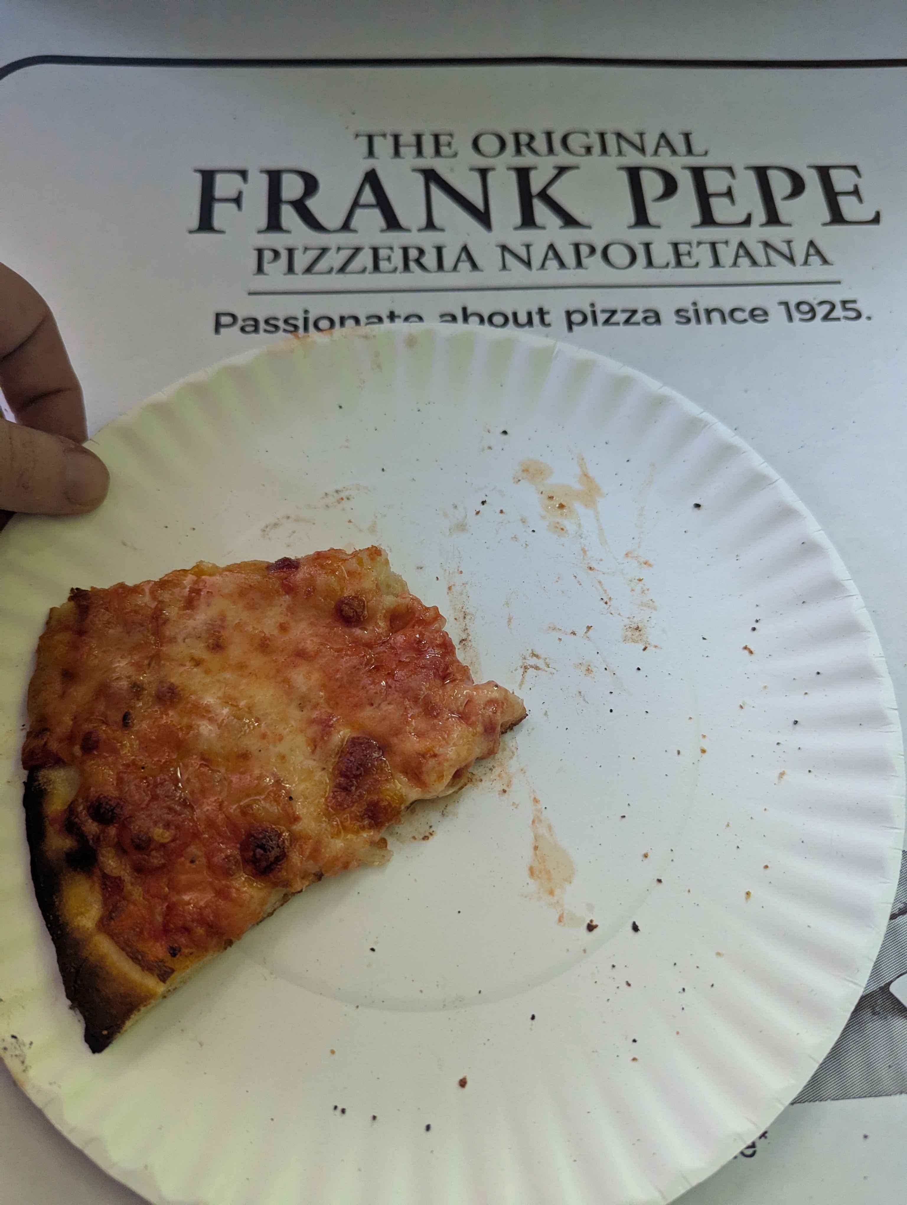 cheese pizza