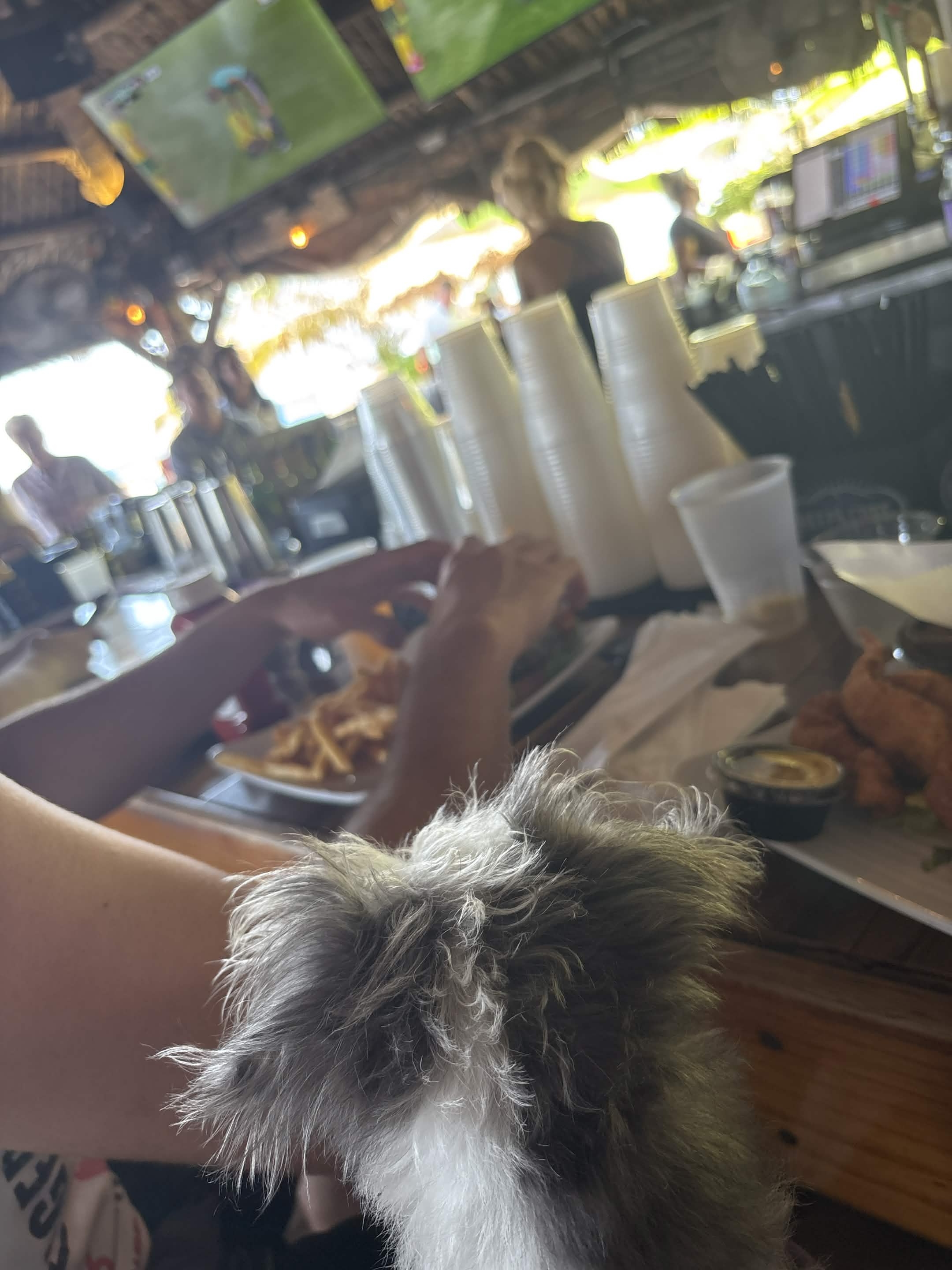 French fries and fried food (3)