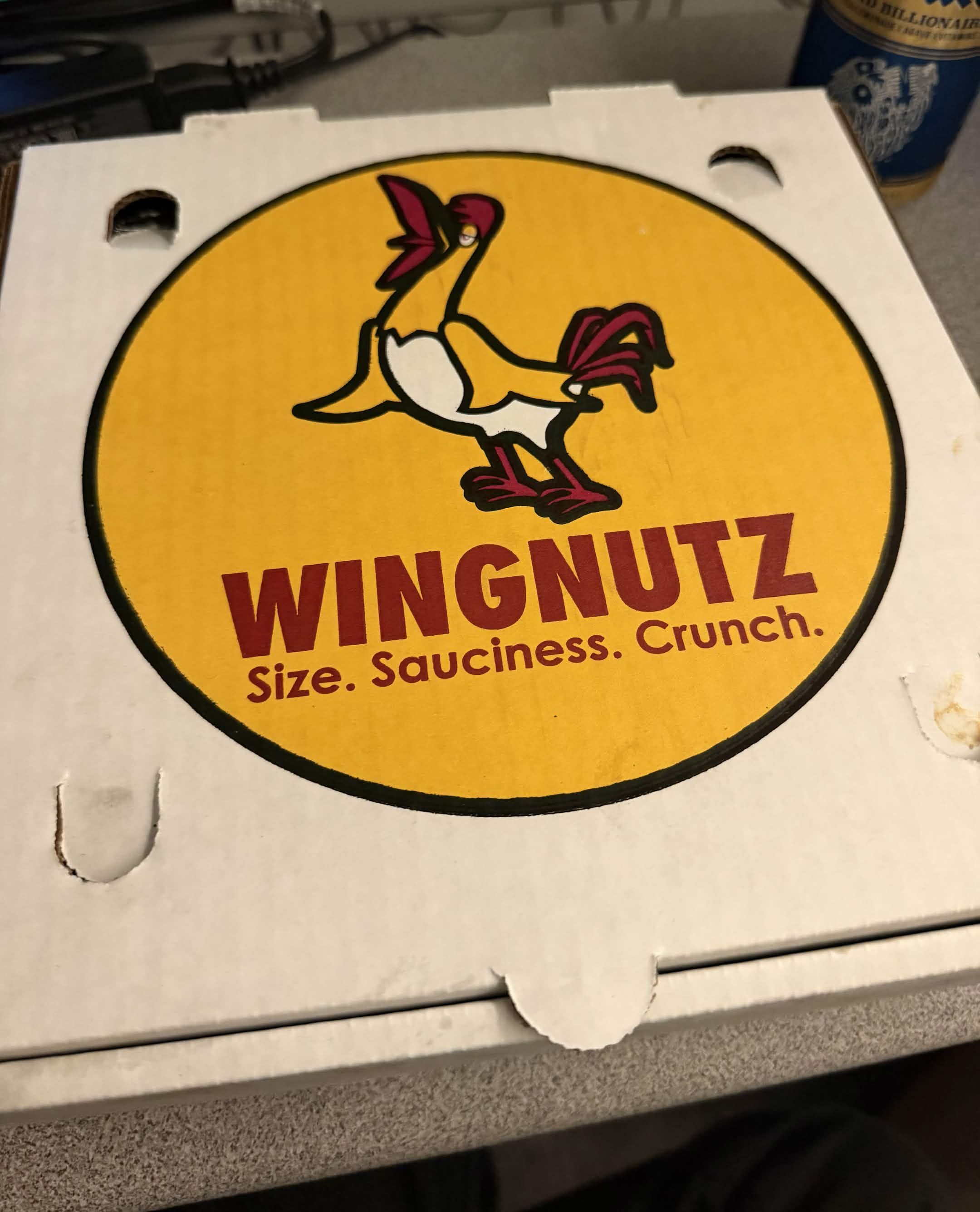 Little Wing Wednesday action (1)