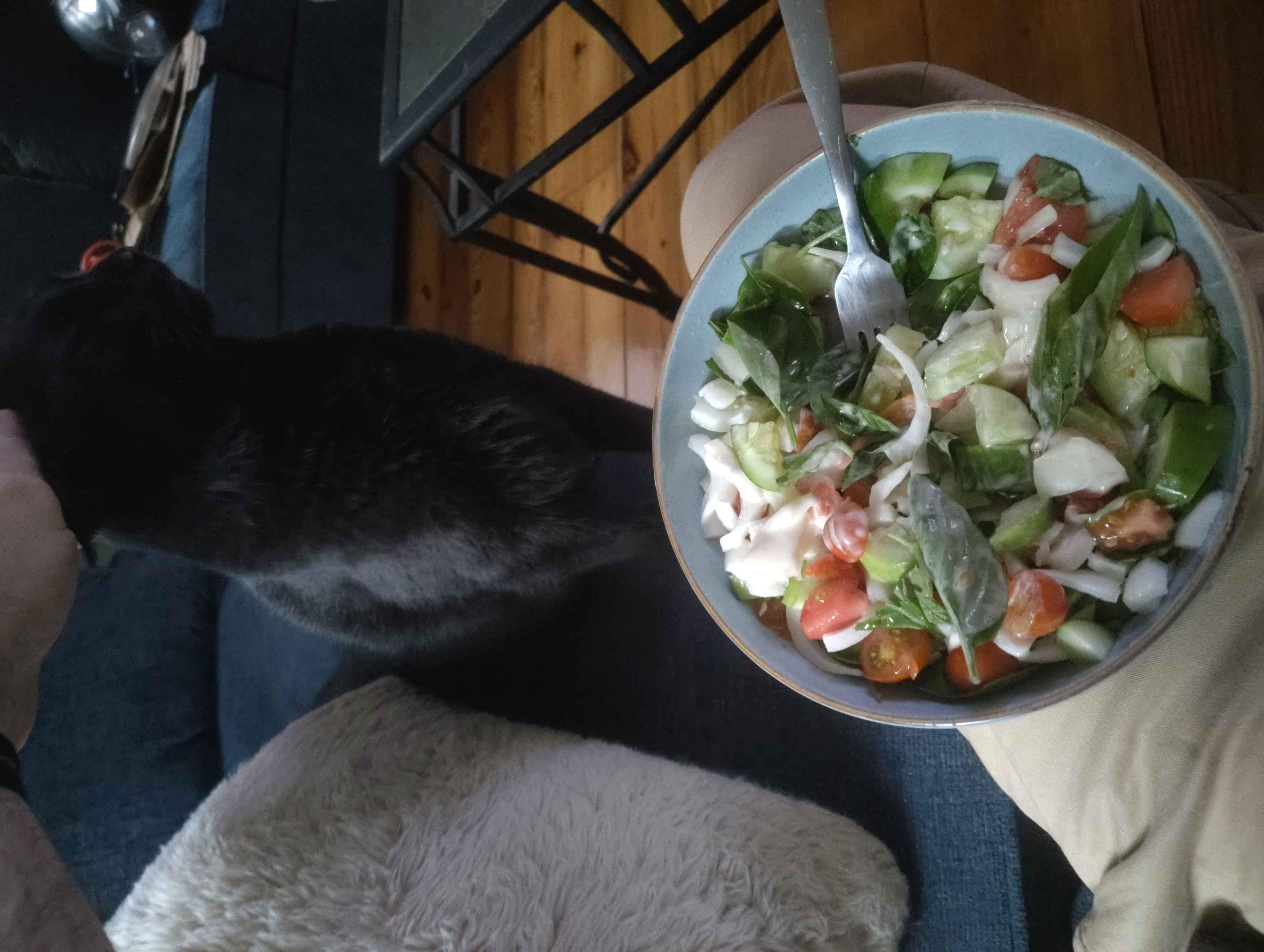 Mixed vegetable salad