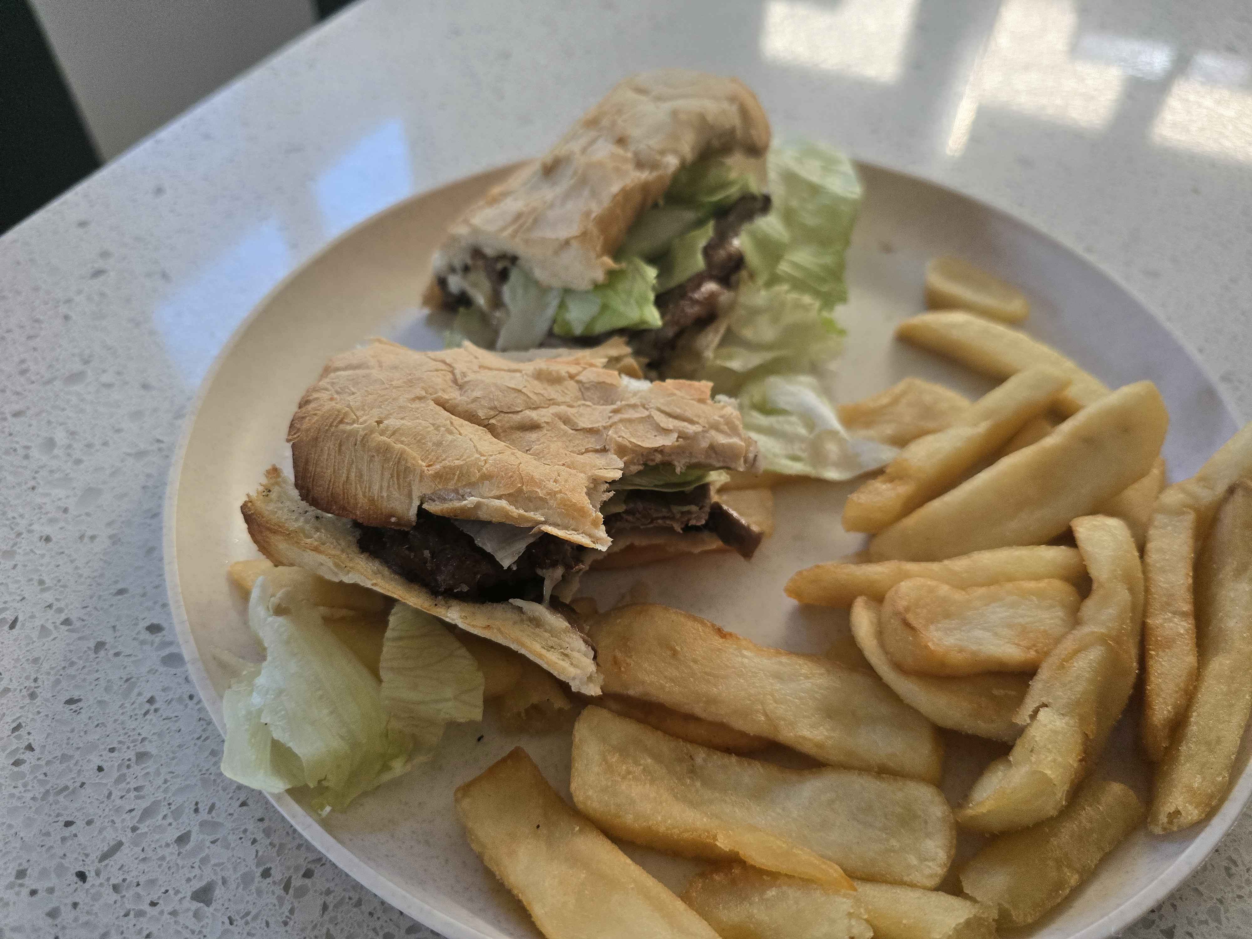 Steak sandwich and fries
