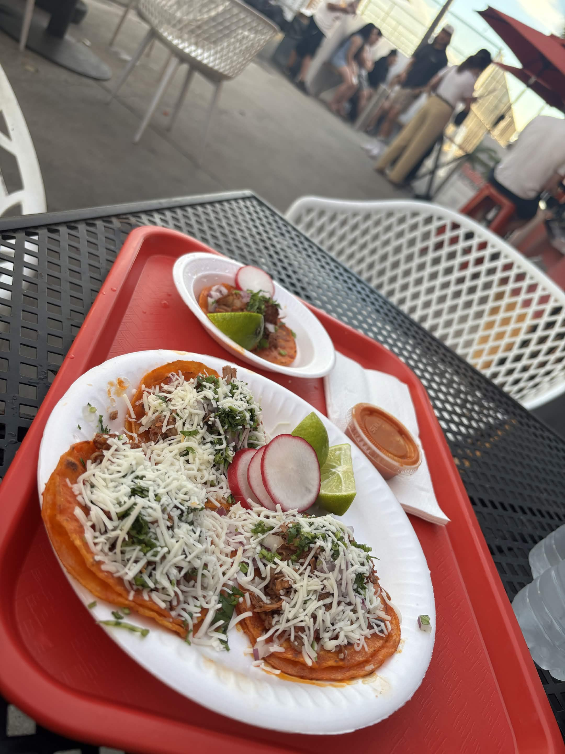 Tacos with cheese and radish