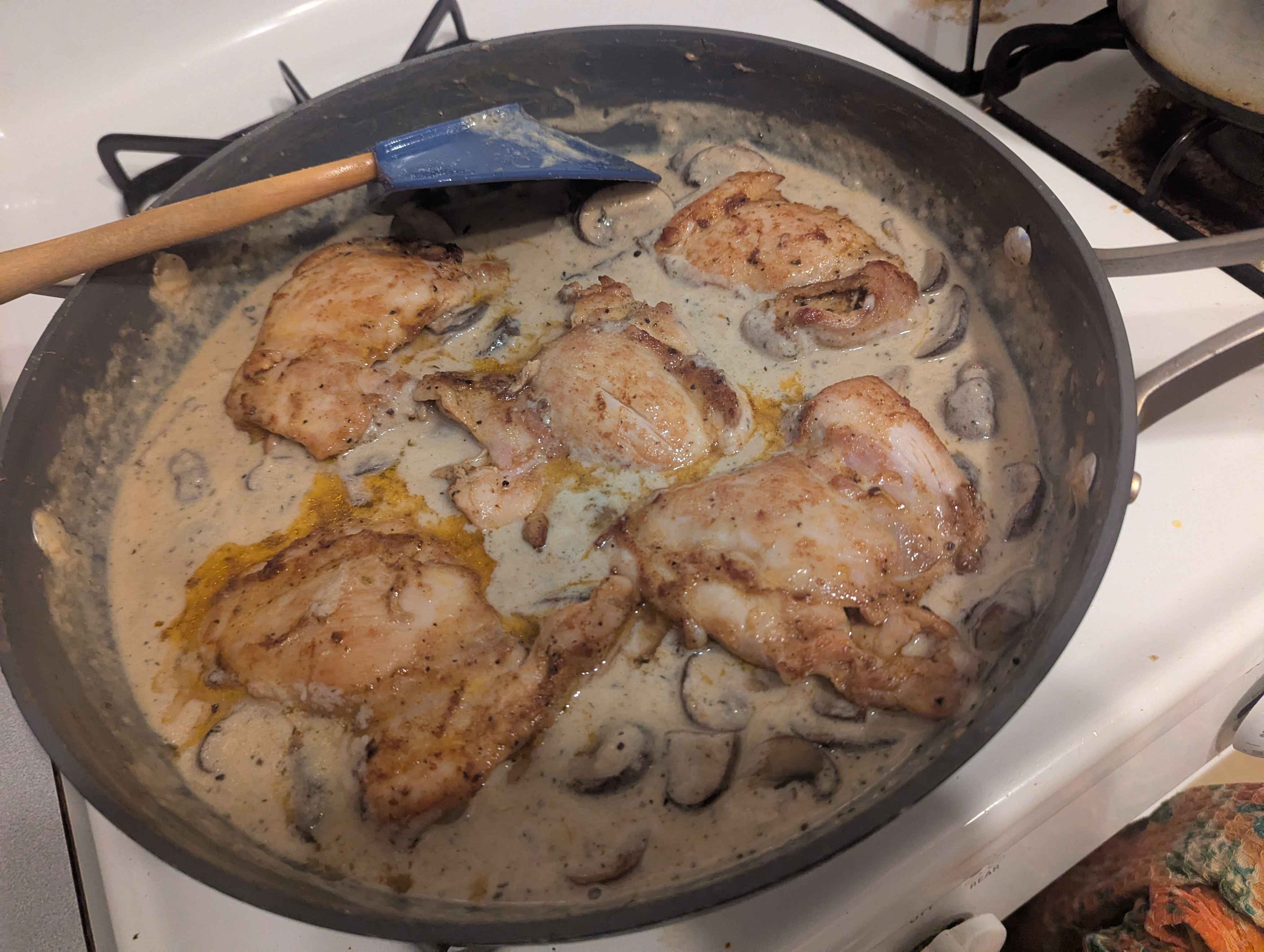 Chicken in creamy mushroom sauce (1)