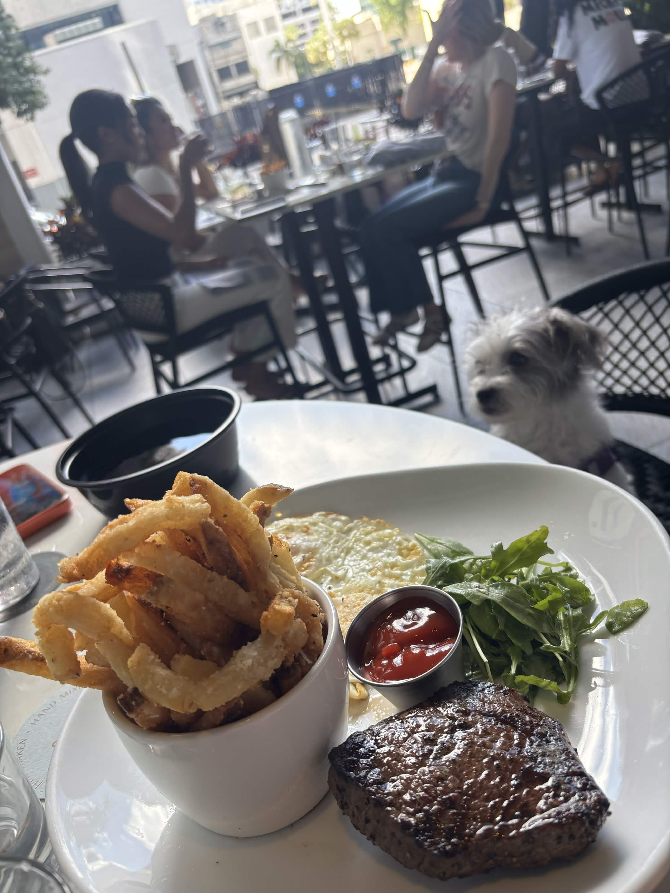 Steak with fries salad (1)