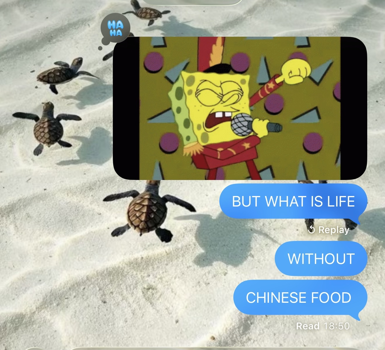 Meme